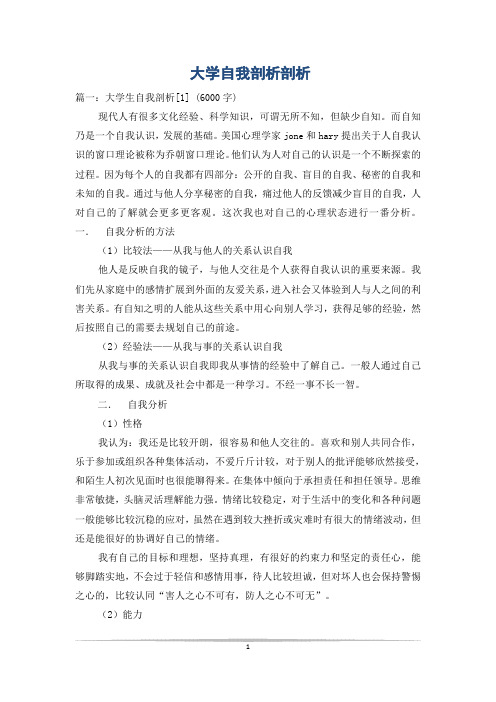 大学自我剖析剖析