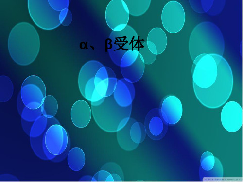 α、β受体ppt课件