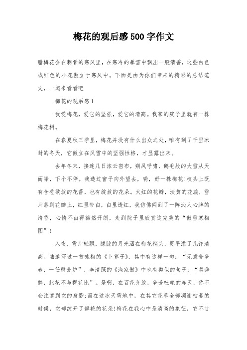 梅花的观后感500字作文