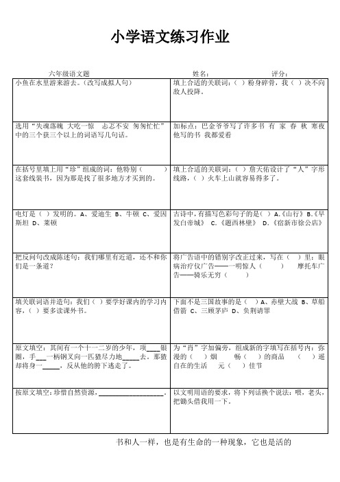 小学六年级语文复习冲刺训练 (1)