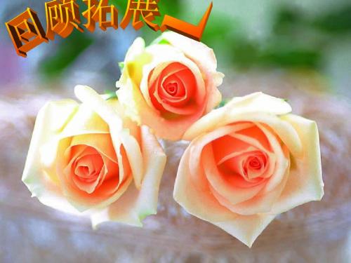 五年级语文下册第一单元口语交际与习作课件
