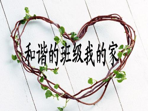 我与班集体_第16周主题班会