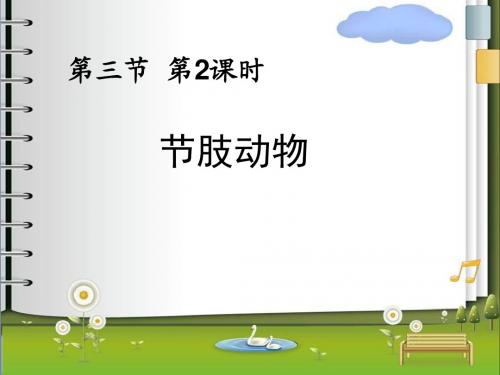 节肢动物