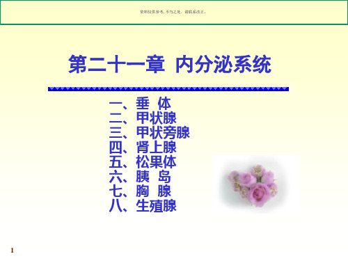 内分泌系统知识