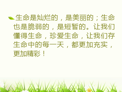 生命的价值