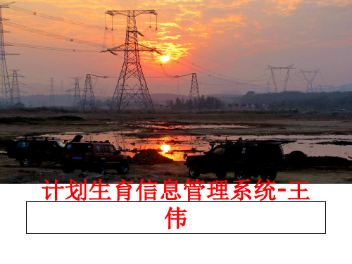 最新计划生育信息系统-王伟
