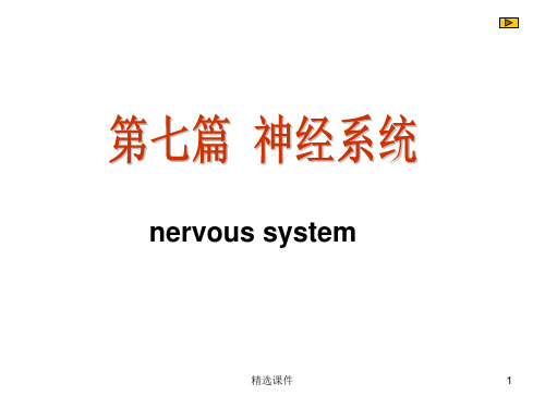 脊髓ppt课件