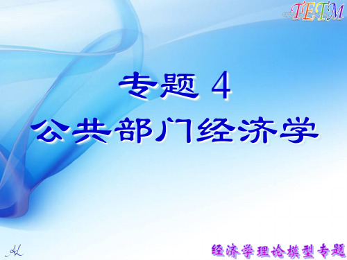 公共部门经济学-PPT精选文档