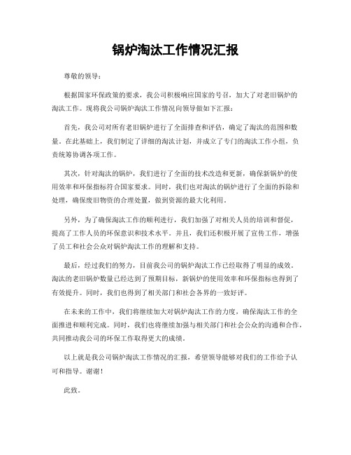 锅炉淘汰工作情况汇报