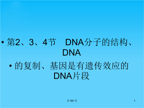 状元之路第一轮复习(生物课件)B2-3-2.3.4