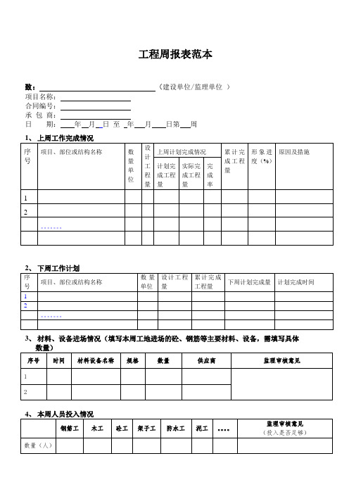 工程周报表范本