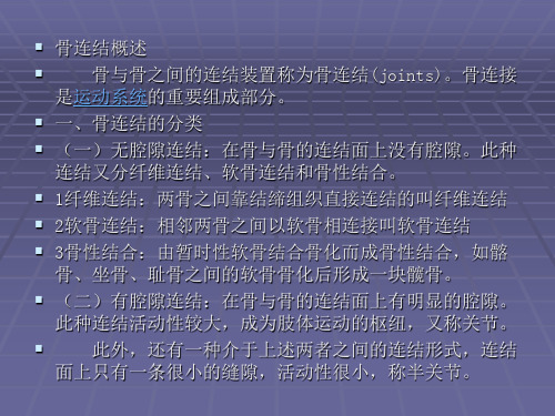 骨连结的概述