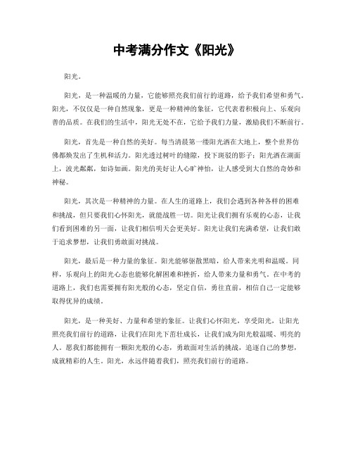 中考满分作文《阳光》