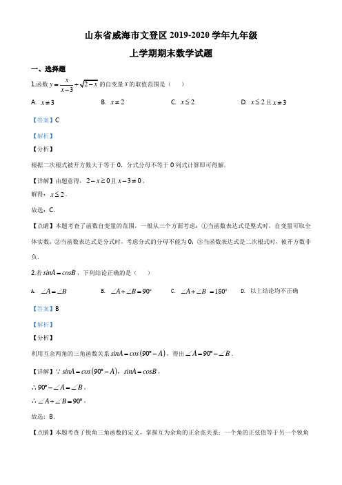 山东省威海市文登区2019-2020学年九年级上学期期末数学试题(解析版)