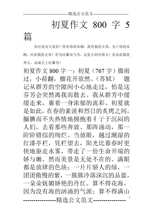 初夏作文800字5篇