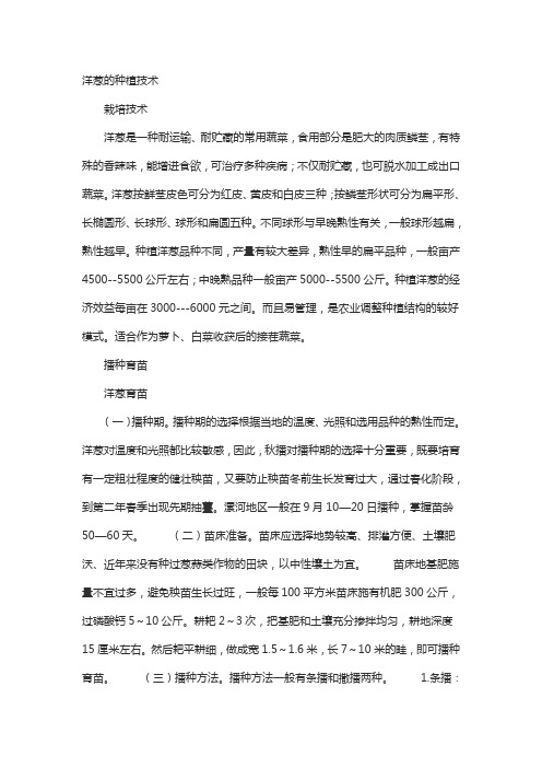 洋葱的种植技术