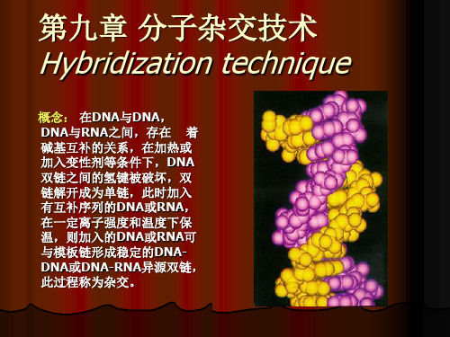 第九章分子杂交技术1ppt课件