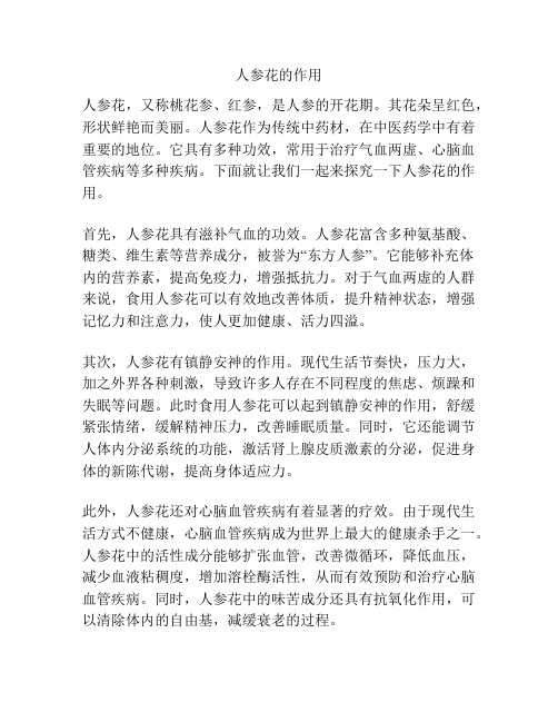 人参花的作用