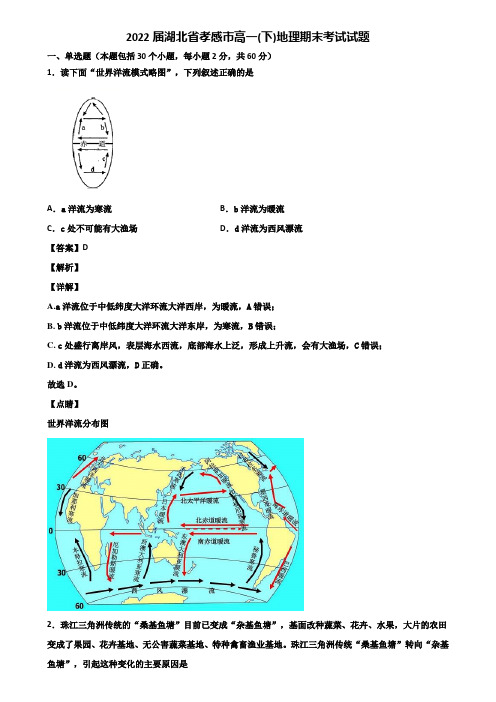 2022届湖北省孝感市高一(下)地理期末考试试题含解析