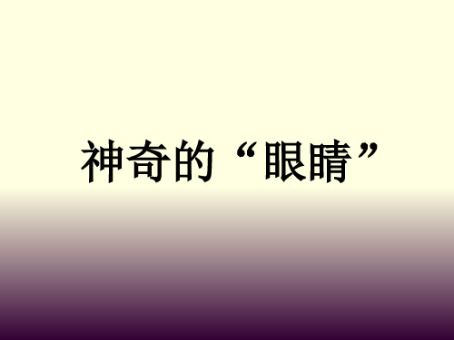 科学五年级下青岛版2.9神奇的眼睛课件(24张)