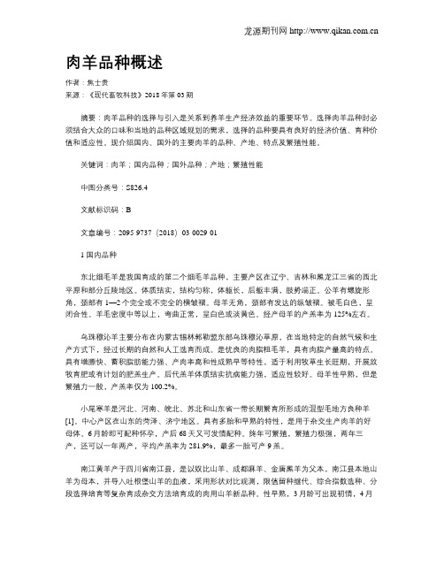 肉羊品种概述