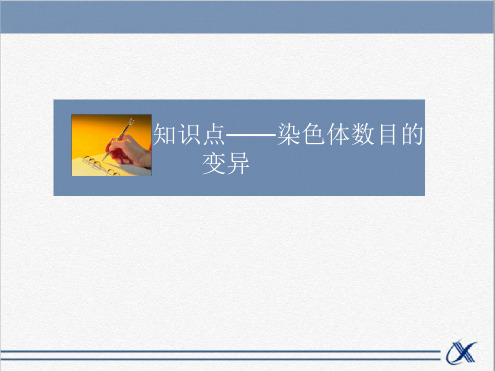 人教版高中生物必修2遗传与进化课件知识点 染色体数目的变异