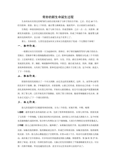 奇妙的新生命诞生过程
