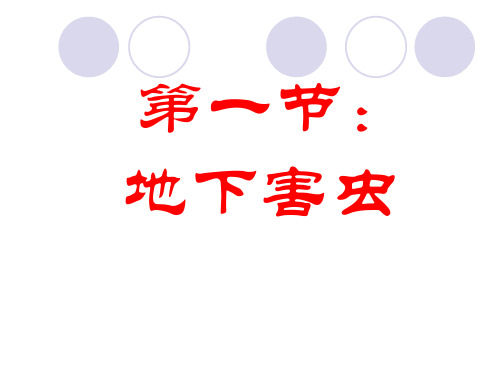 地下害虫