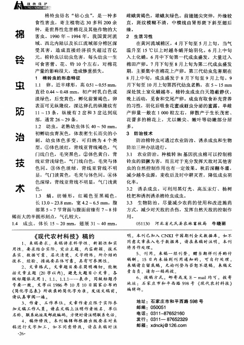 棉铃虫防治技术