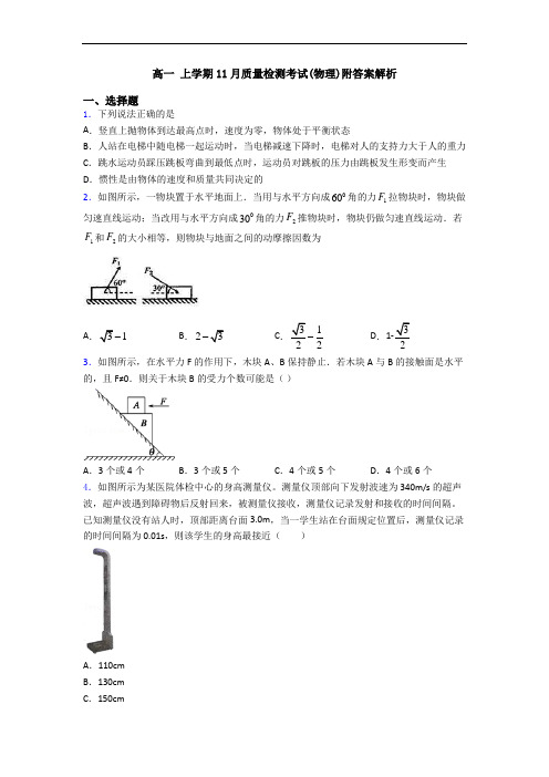 高一 上学期11月质量检测考试(物理)附答案解析
