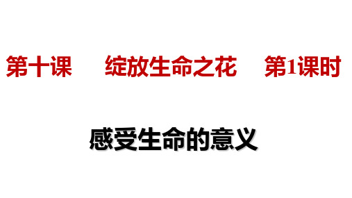 人教版《道德与法治》七年级上册：10.1 感受生命的意义 课件(共11张PPT)