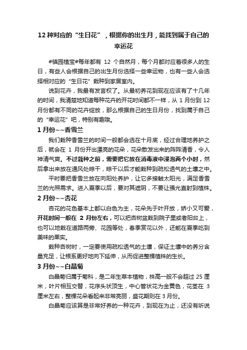 12种对应的“生日花”，根据你的出生月，能找到属于自己的幸运花