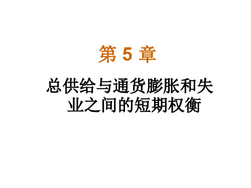 第5章：总供给与通货膨胀和失业之间的短期权衡
