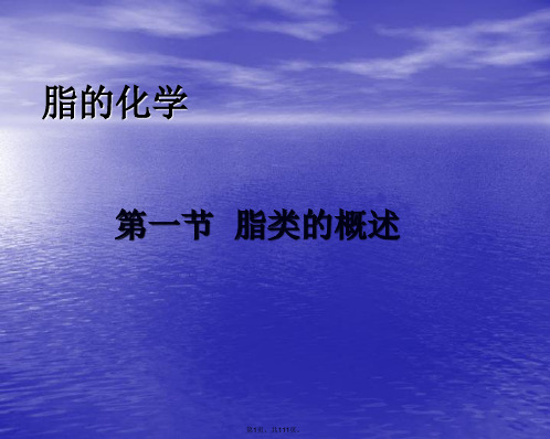 脂类代谢12(共111张PPT)