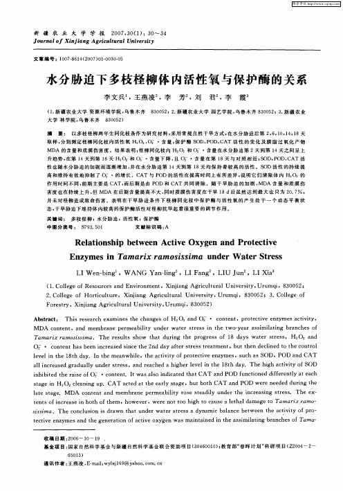 水分胁迫下多枝柽柳体内活性氧与保护酶的关系