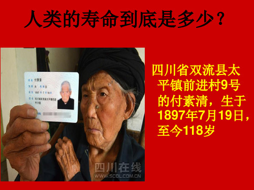 新卵磷脂课件
