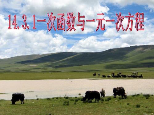 14.3.1 一次函数与一元一次方程 课件