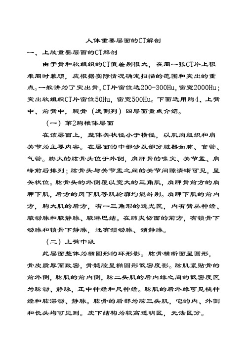 人体重要层面的CT解剖