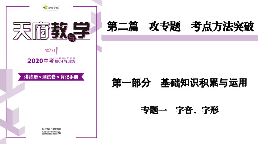 中考专题一    字音