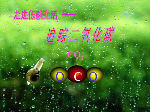 人教版九年级化学二氧化碳性质