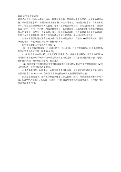肾素-血管紧张素系统 