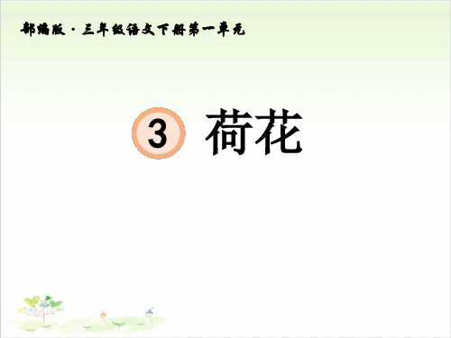 三年级语文下册ppt-3荷花32-优秀课件-部编版(共62页)