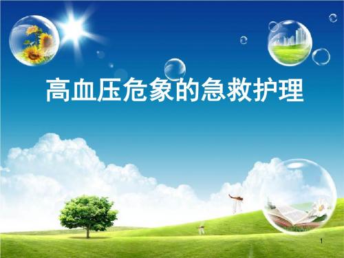 高血压危象的急救护理ppt课件