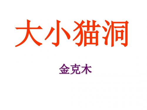 语文版语文九年级上册课件：第11课《大小猫洞》参考课件