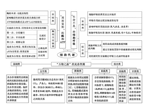 高三生物二轮复习 酶与ATP
