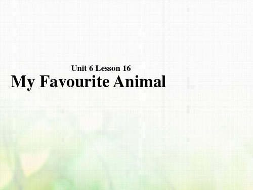 2018年春学期七年级英语下册Unit6TheAnimalKingdomLesson16MyFavouriteAnimal课件(北师大版)