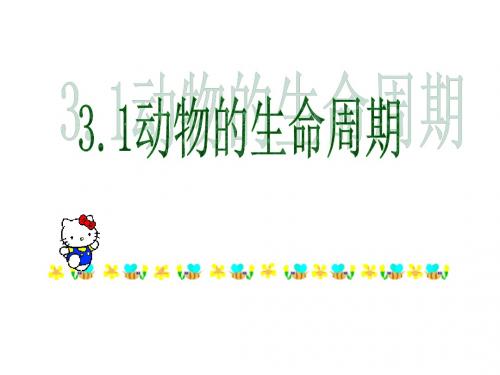 七年级科学动物的生命周期3