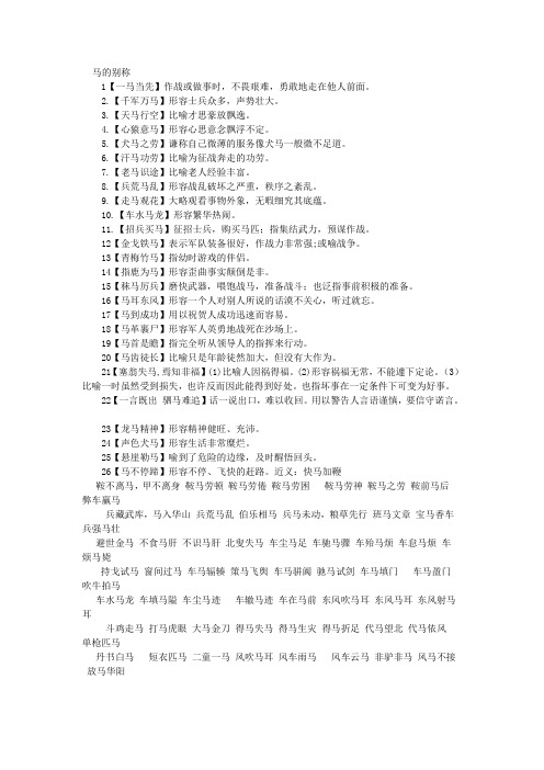马的别称
