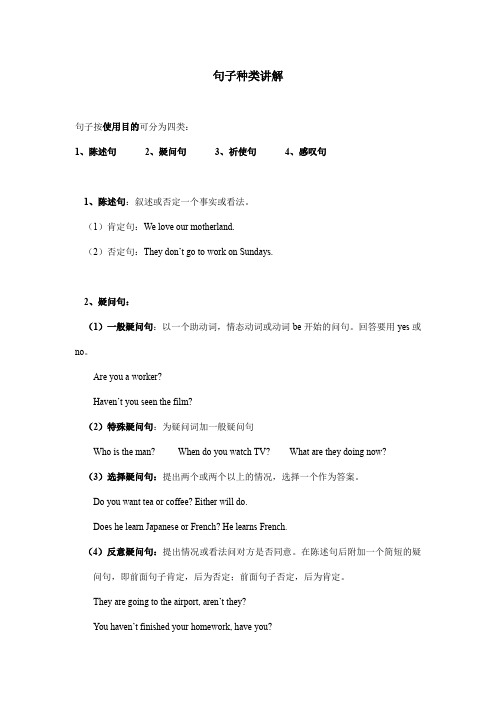 人教版英语中考总复习句子种类讲解及练习  无答案