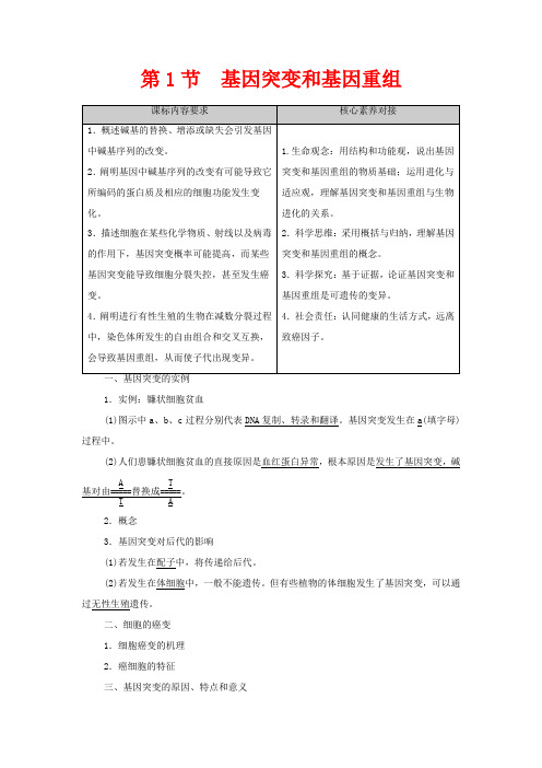 高中生物 第5章 基因突变及其他变异 第1节 基因突变和基因重组教案高中生物教案